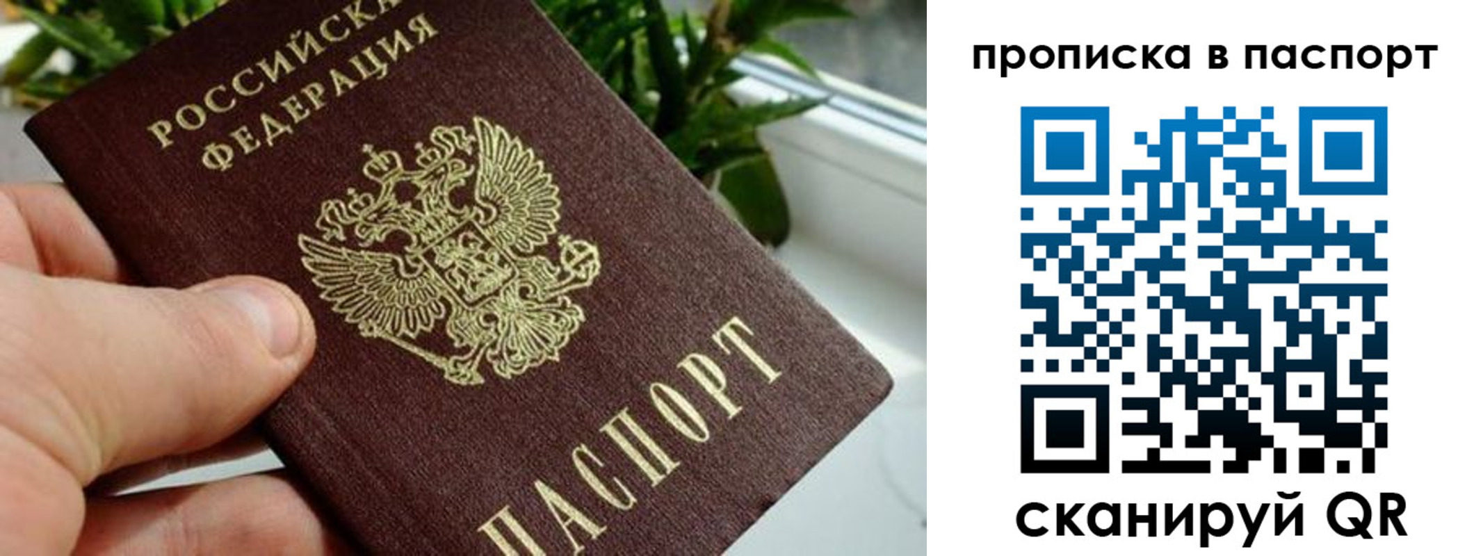 пропишу в квартире в Козельске